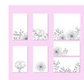 Collection of vector template label, visit cards, square greeting cards and banners with home plants, wild flowers and herbs.Busin Royalty Free Stock Photo