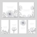 Collection of vector template label, visit cards, square greeting cards and banners with home plants, wild flowers and herbs.Busin Royalty Free Stock Photo