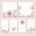 Collection of vector template label, visit cards, square greeting cards and banners with home plants, wild flowers and herbs.Busin Royalty Free Stock Photo