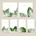 Collection of vector template label, visit cards, square greeting cards and banners with home plants, wild flowers and Royalty Free Stock Photo