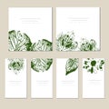 Collection of vector template label, visit cards, square greeting cards and banners with home plants, wild flowers and Royalty Free Stock Photo