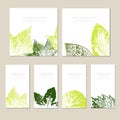 Collection of vector template label, visit cards, square greeting cards and banners with home plants, wild flowers and Royalty Free Stock Photo