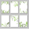 Collection of vector template label, visit cards, square greeting cards and banners with home plants, wild flowers and Royalty Free Stock Photo