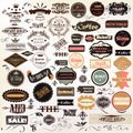 Collection of vector vintage labels on wooden texture Royalty Free Stock Photo