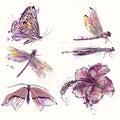 Collection of vector watercolor spring butterflies and dragonflies