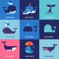 Collection of vector whale icons