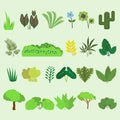 various types of plants with different types Royalty Free Stock Photo