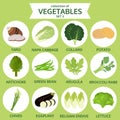 Collection of vegetables, food vector illustration, icon set Royalty Free Stock Photo