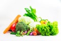 Collection vegetables isolated white background Royalty Free Stock Photo