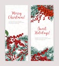 Collection of vertical Christmas banners with coniferous tree branches, holly leaves and berries, holiday lettering and Royalty Free Stock Photo