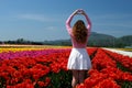 collection of videos and photos where a girl in a white skirt walks through field with tulips blue background sky Royalty Free Stock Photo