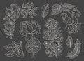 Collection vintage floral motif. William Moriss style art and craft movement. Design outline flower symbol. Royalty Free Stock Photo