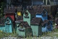 Rustic and Colorful Bird Houses