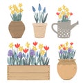 Collection of vintage pots, watering can and box with Spring flowers. Tulips, hyacinths, muscari, daffodils. Doodle hand