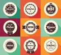 Collection of vintage retro labels, badges, stamps and ribbons Royalty Free Stock Photo