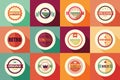 Collection of vintage retro labels, badges, stamps and ribbons Royalty Free Stock Photo