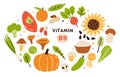 Collection of vitamin B9 sources. Food enriched with folatin. Dairy product, fruits, vegetables and salad greens