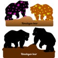 Collection of walking bear, silhouette and silhouette with pattern for design brown and black, on a white background Royalty Free Stock Photo