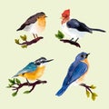 collection watercolor autumn birds vector design