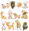 Collection of watercolor cute animals bunnies, foxes, owls, bears and dogs