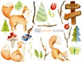 Collection of watercolor cute foxes, forest plants and elements