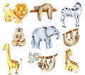 Collection of watercolor exotic african animals lion, elephant, sloths, giraffes, zebra