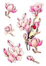 Design hand drawn set element of spring festival, summer pink flower, branches, swallow. Collection of watercolor floral