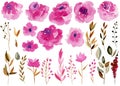 Collection of watercolor flowers, leaves and branches in pink, crimson and brown colors