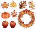 COLLECTION OF WATERCOLOR HAND DRAWN ELEMENTS OF AUTUMN SEASON , LEAF, PUMPKIN, APPLES, MAPLE LEAF, ACORN