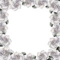 Collection of watercolor hand drawn floral frame. Camellia floral frames for creating invitations, posters, cards. Royalty Free Stock Photo