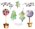 Collection of watercolor leaves, berries of holly tree and Christmas trees Royalty Free Stock Photo