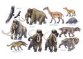 Collection of watercolor prehistoric animals isolated on a white background