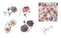 Collection of watercolor roses with ink. Illustration of multicolor flowers and pattern in the sketch style. Summer Royalty Free Stock Photo