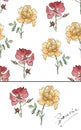 Collection of watercolor roses with ink. Illustration of multicolor ( red & yellow) flowers and pattern in the Royalty Free Stock Photo