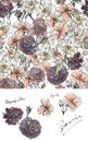Collection of watercolor roses with ink. Illustration of violet, pink flowers and pattern in the sketch style. Summer Royalty Free Stock Photo