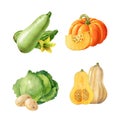 Collection of watercolor vegetables isolated on white background