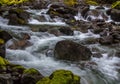 A collection of Waterfalls on Deception Creek, Washington State Royalty Free Stock Photo