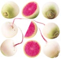 Collection of watermelon radishes. Different angles of whole, half and piece of watermelon radish isolated on white background. Royalty Free Stock Photo