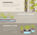 Collection of web banners with plants growing in pots with mineral solution and place for text. Hydroponic gardening