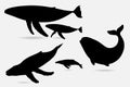 Collection of whale silhouette vector illustration Royalty Free Stock Photo