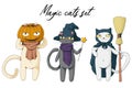 Collection of white and black magic cat with witch hat, pumpkin and broom. Set of halloween characters. Vector cartoon art Royalty Free Stock Photo