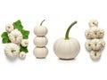 Collection of white pumpkins in various arrangements Royalty Free Stock Photo