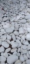 A collection of white stones that adorn the garden in the grand mosque.