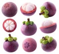 Collection of whole and cut mangosteen fruit isolated on white b