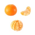Collection of whole and peeled tangerine fruits isolated with clipping path