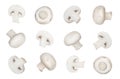 Collection whole and sliced champignon mushrooms isolated on a white background. Mushrooms background. Fresh porcini champignon Royalty Free Stock Photo