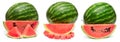 Collection whole watermelon and slices isolated on a white background