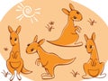 Collection wild animals. kangaroos.