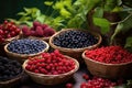 collection of wild berries on leafy backdrop Royalty Free Stock Photo