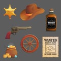 Wild west accessories collection